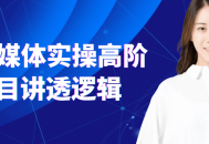 AI自媒体实操高阶项目讲透逻辑